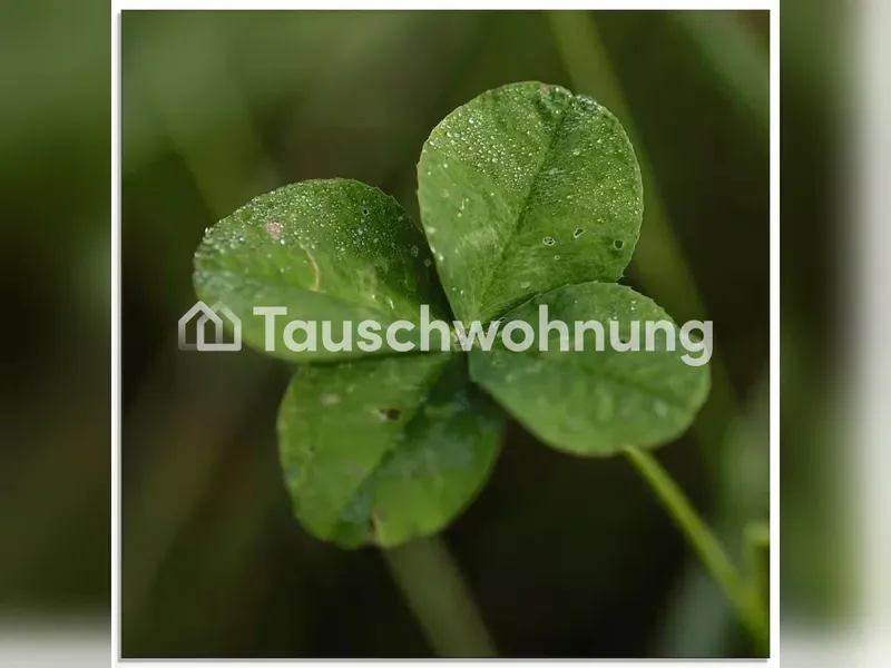 Tauschwohnung: 1 ZKB gegen 2 ZKB in F'hain, P'berg oder Mitte — photo 1